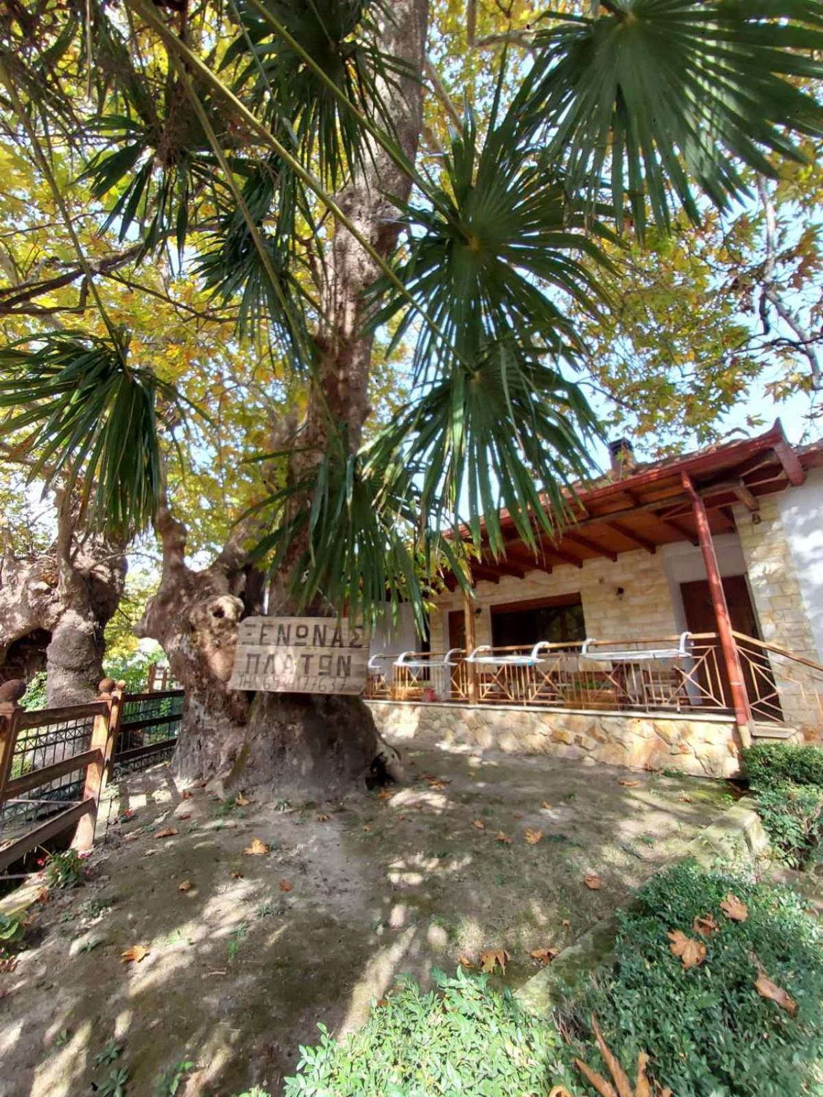 Guesthouse Platon Órma Extérieur photo