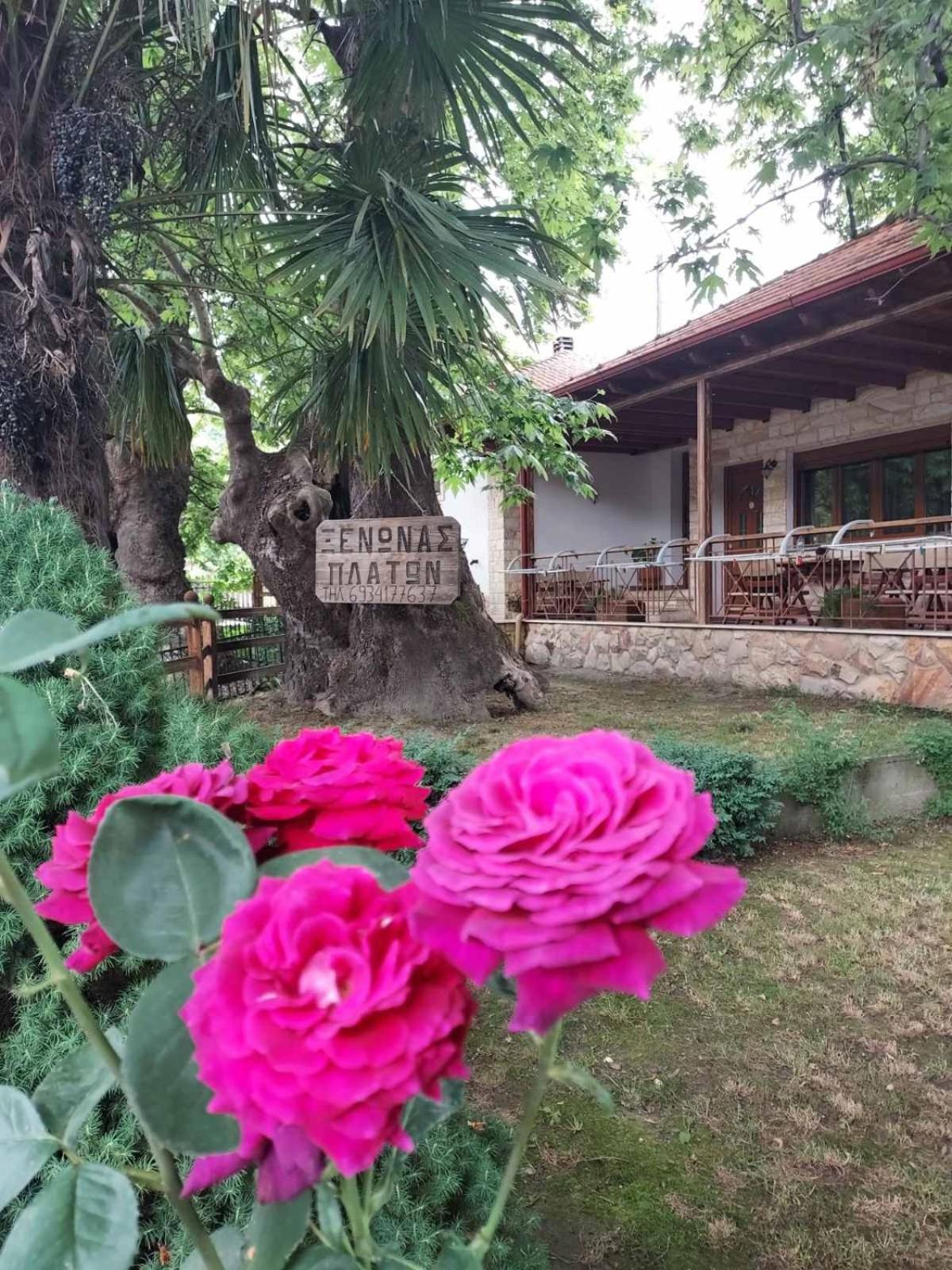 Guesthouse Platon Órma Extérieur photo